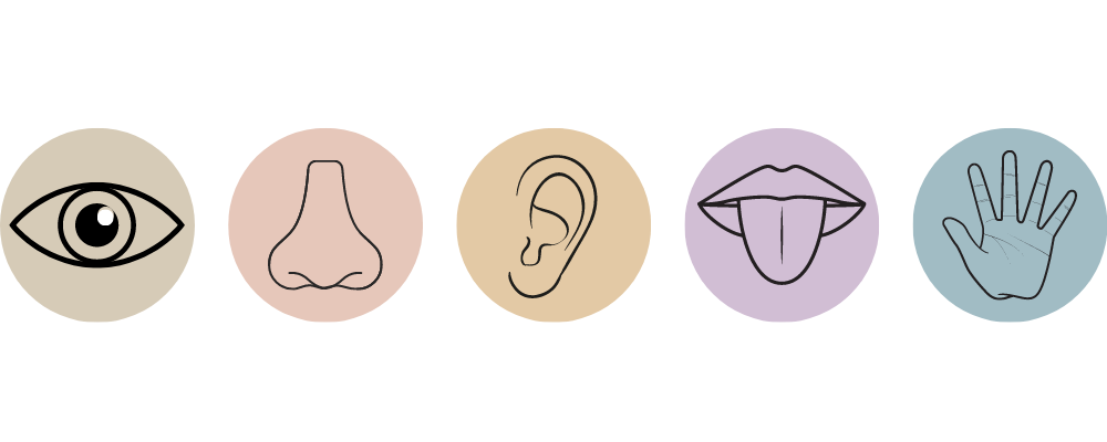 image of the five senses