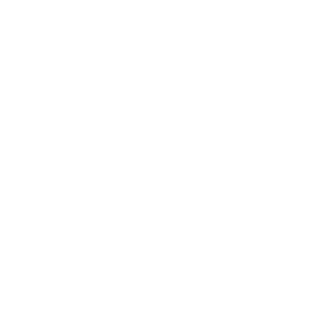 circular image of white shell-like shape